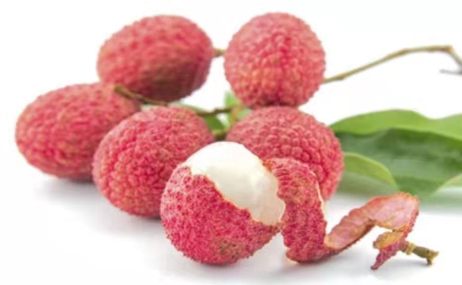 ˹ܼҸ㣺֦Է빦Ч